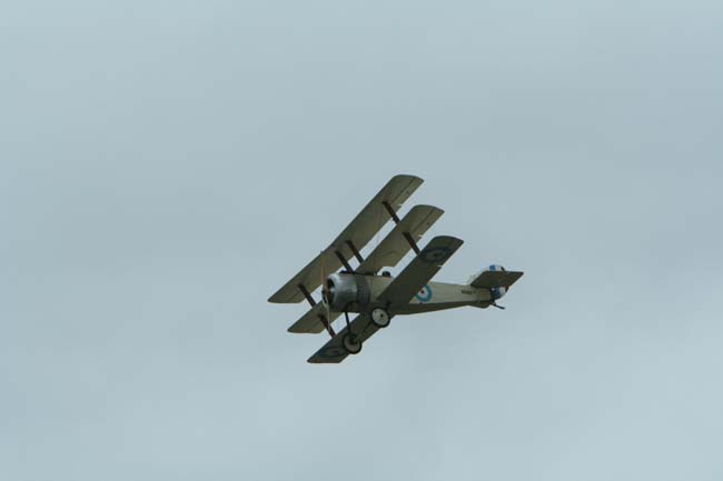 IMG_4275