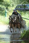IMG_8826