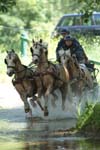 IMG_8829