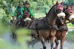 IMG_8738