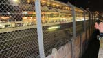 IMG_0329