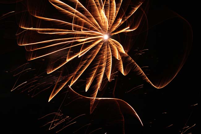 IMG_2593