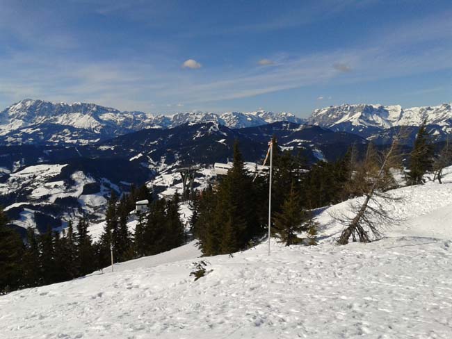 2013-03-08