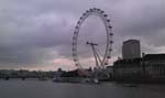IMAG0007