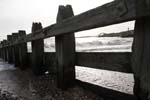 BRYK0323
