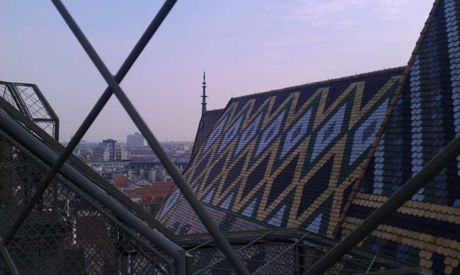 IMAG0293