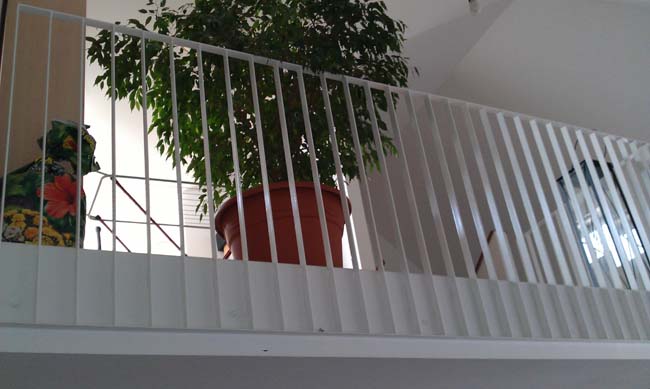 IMAG0358