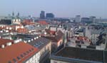 IMAG0310