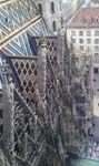 IMAG0324