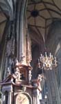 IMAG0335