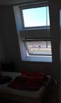 IMAG0384