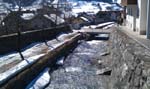 IMAG0385
