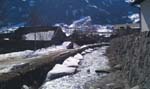 IMAG0449
