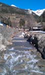 IMAG0452