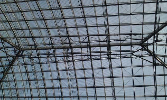 IMAG0614