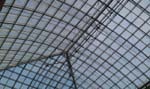 IMAG0613