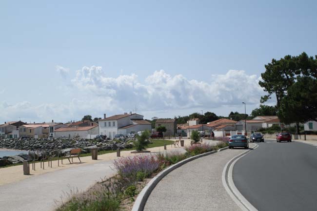 BRYK7781